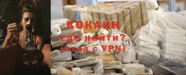 ПСИЛОЦИБИНОВЫЕ ГРИБЫ Богданович