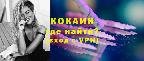 ПСИЛОЦИБИНОВЫЕ ГРИБЫ Богданович