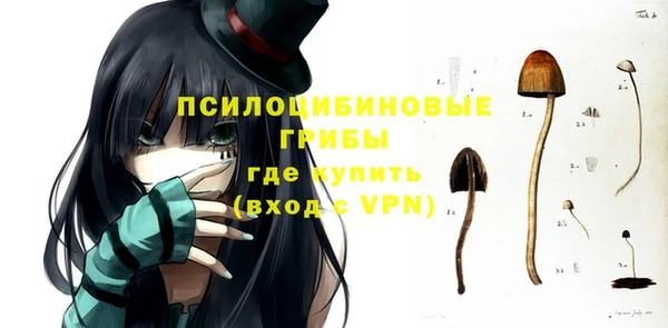 соль ск Богородск