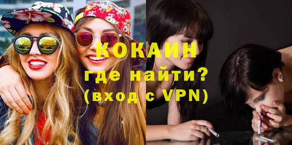 ПСИЛОЦИБИНОВЫЕ ГРИБЫ Богданович