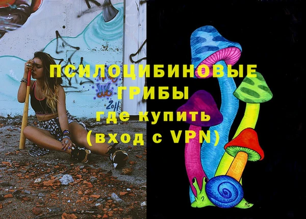соль ск Богородск