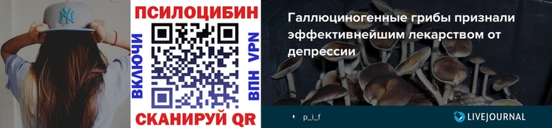 OMG ССЫЛКА  это телеграм  Псилоцибиновые грибы ЛСД  Сланцы 