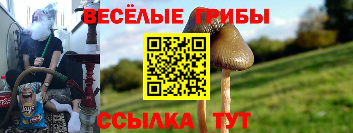 Псилоцибиновые грибы ЛСД Сланцы